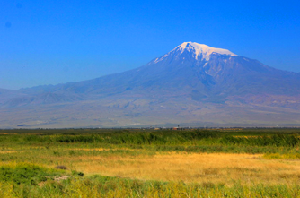 Ararat plain