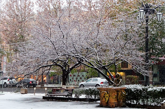 Winter in Yerevan