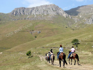 Horse riding Dilijan