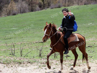 Horse riding Dilijan