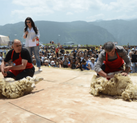 Фестиваль "Стрижка овец"