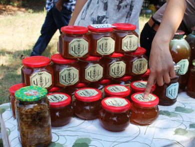 Festival von Honig und Beeren