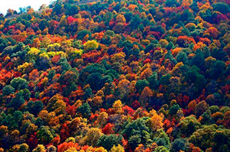 Herbstfarben in Armenien