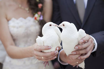 Modern Armenian weddings