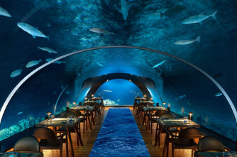 Подводный ресторан «Ithaa»  (Мальдивы)